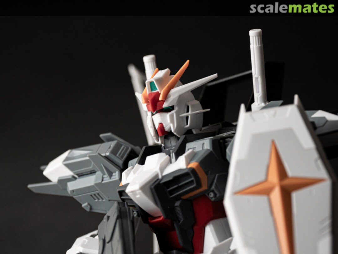 View album, image #1 View album, image #1