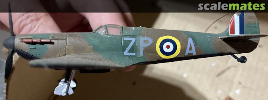 View album, image #1 View album, image #1