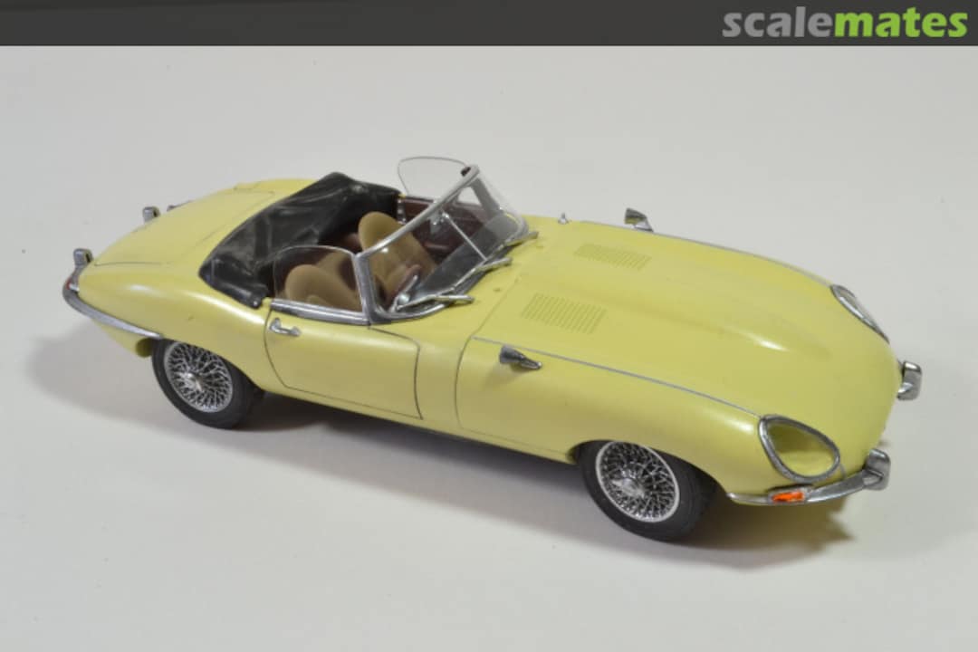 View album, image #1 View album, image #1