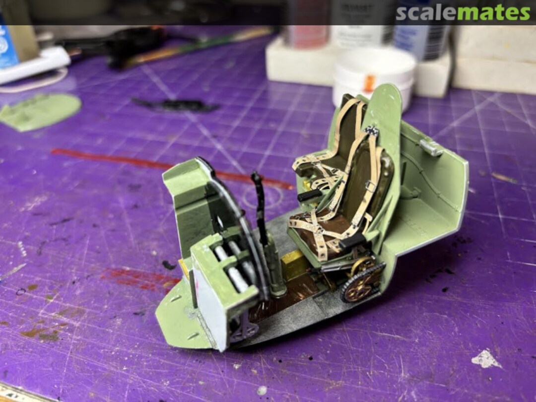 View album, image #1 View album, image #1