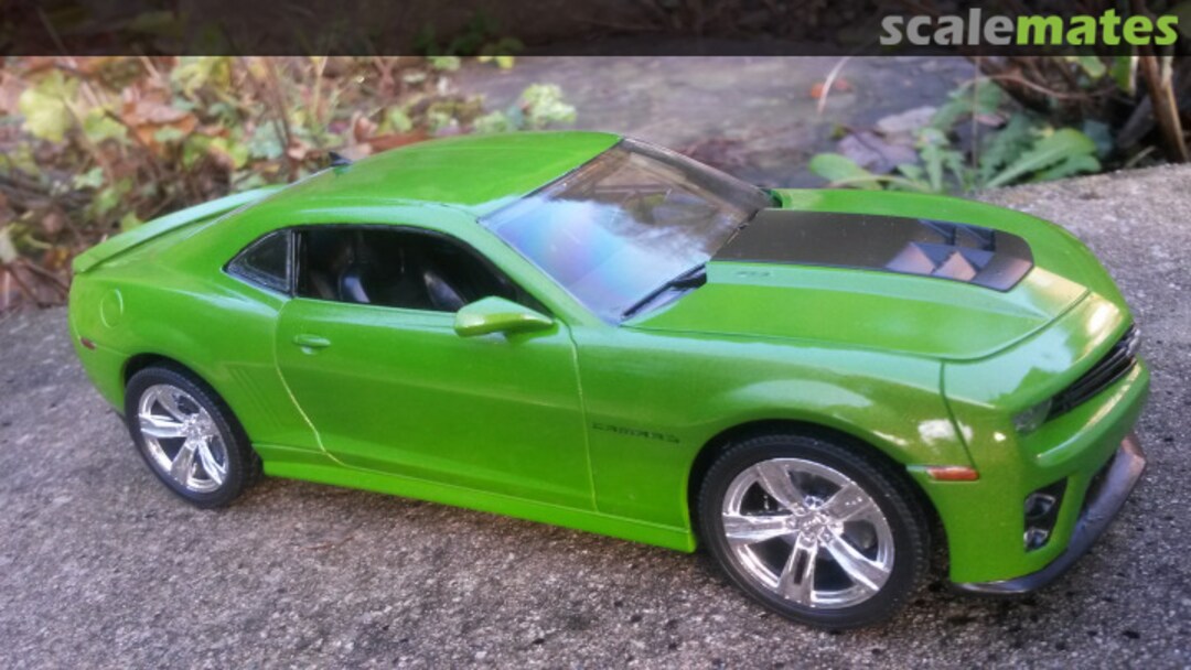 View album, image #1