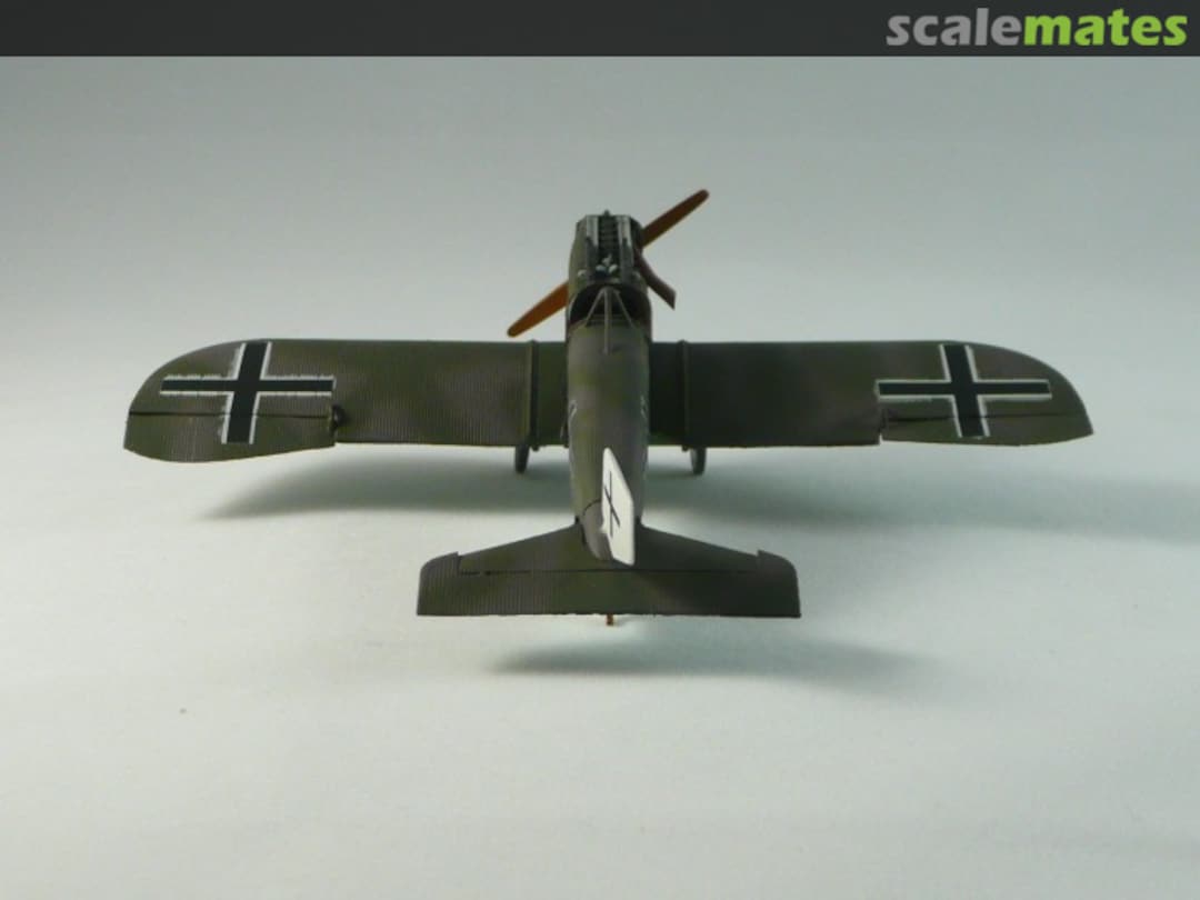 View album, image #1