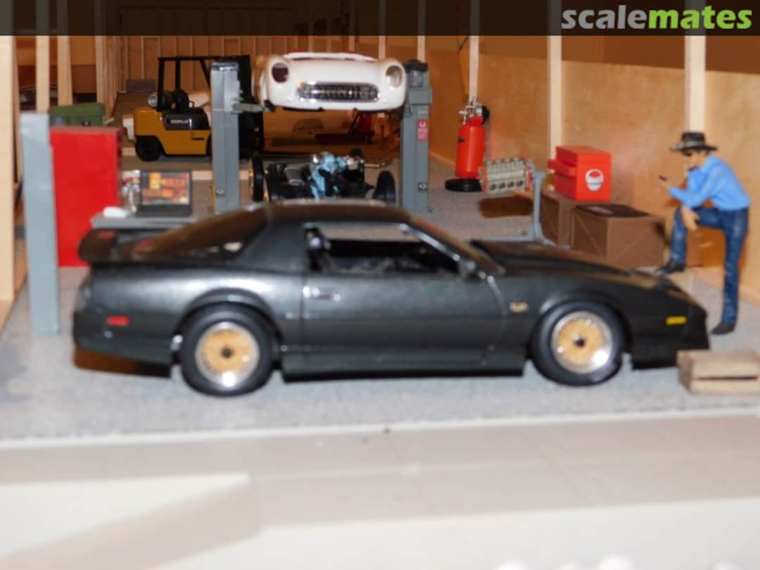 View album, image #1 View album, image #1