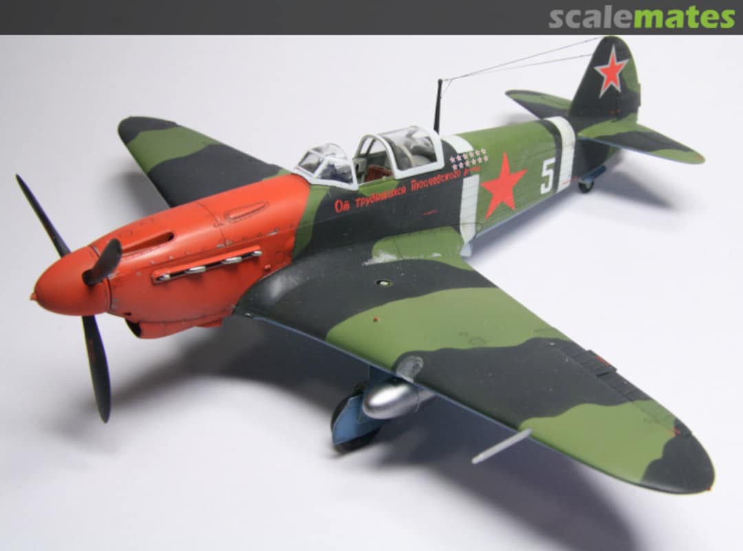 View album, image #1 View album, image #1