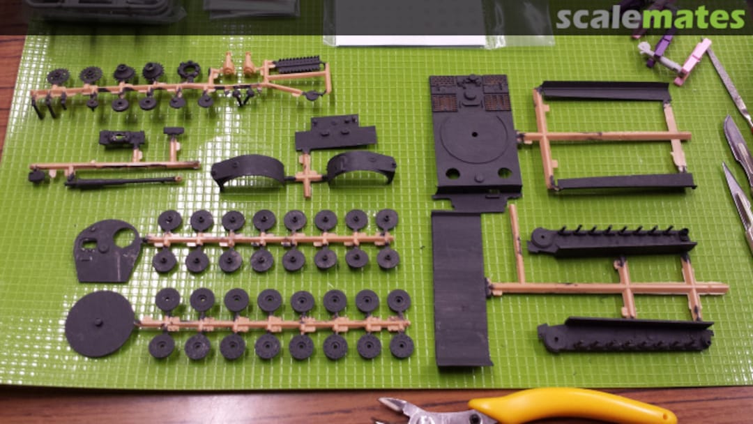 View album, image #1 View album, image #1