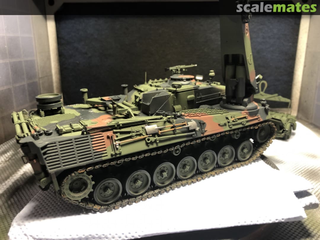 View album, image #18