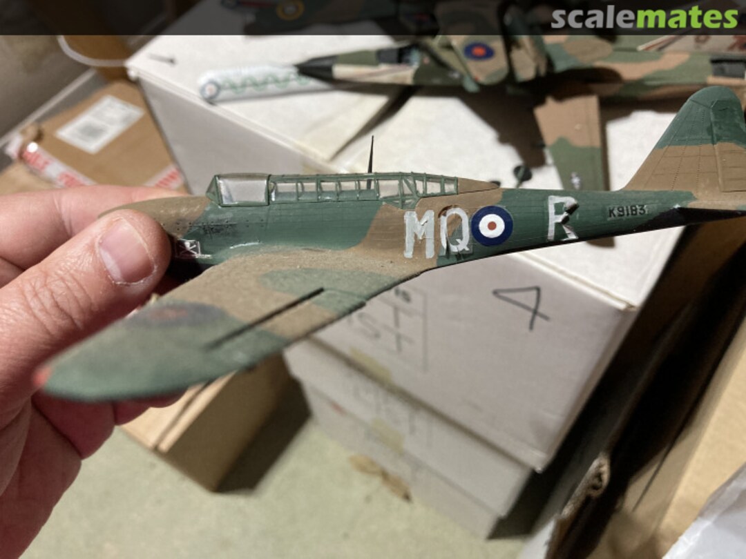 View album, image #1 View album, image #1