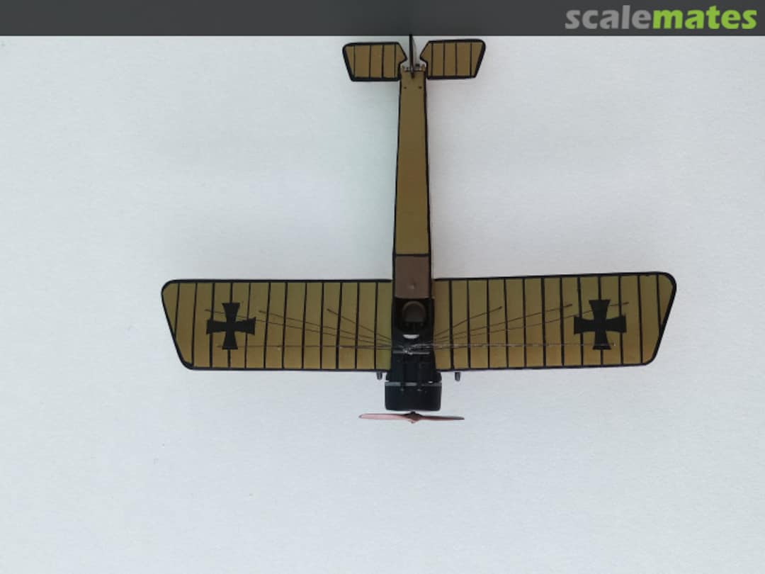 View album, image #1