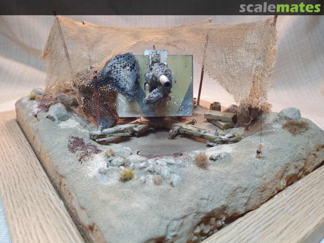 View album, image #21