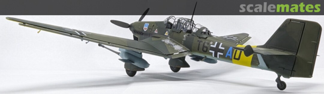 View album, image #7 View album, image #7