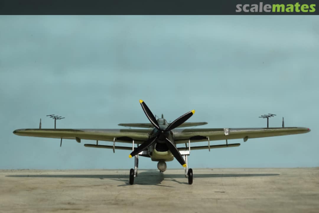 View album, image #1 View album, image #1