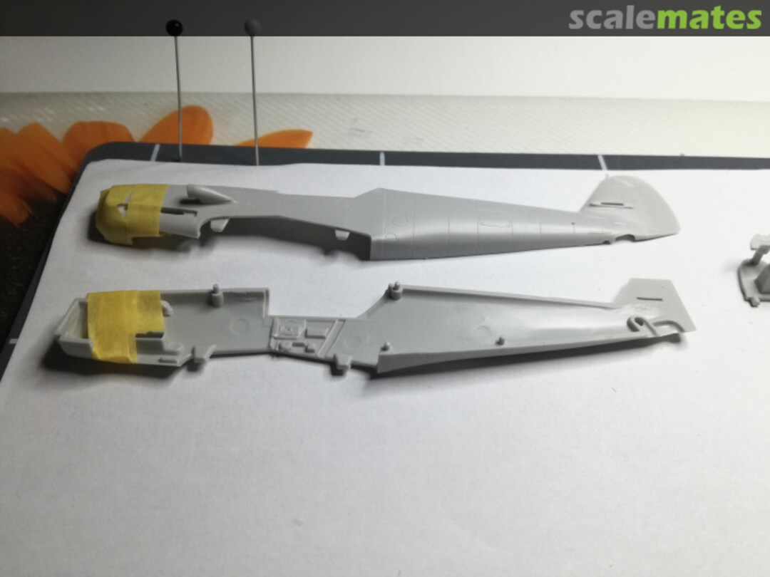 View album, image #1