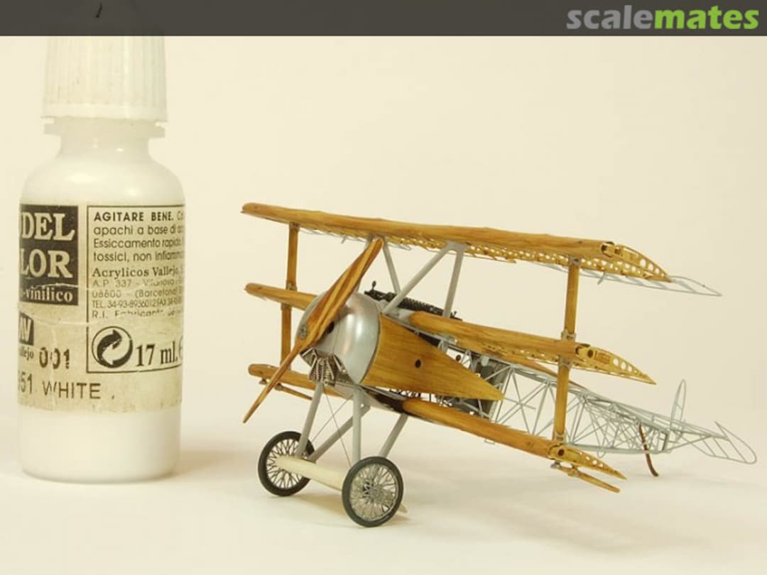 View album, image #1