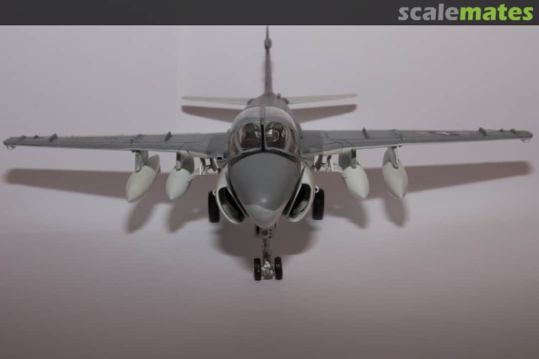 View album, image #1 View album, image #1