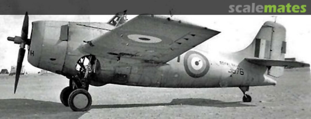 View album, image #1