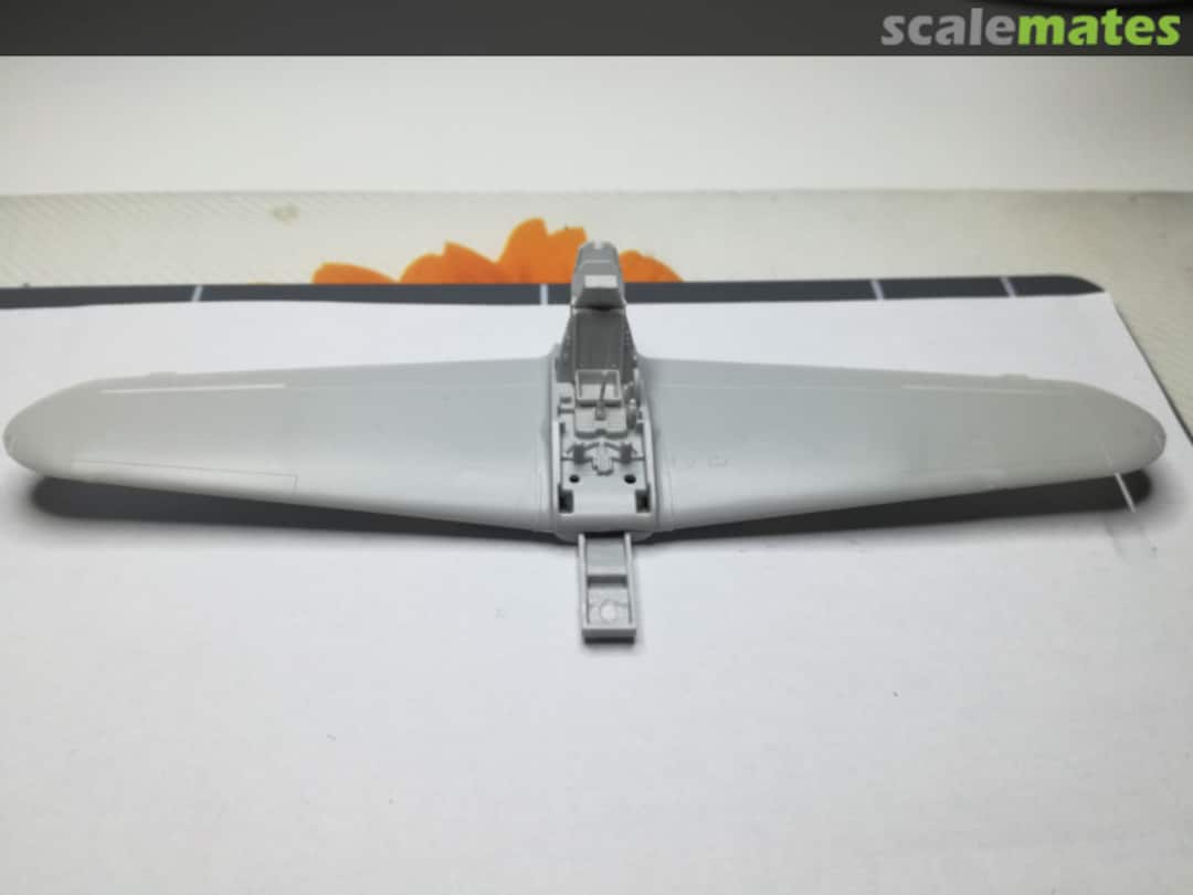 View album, image #1