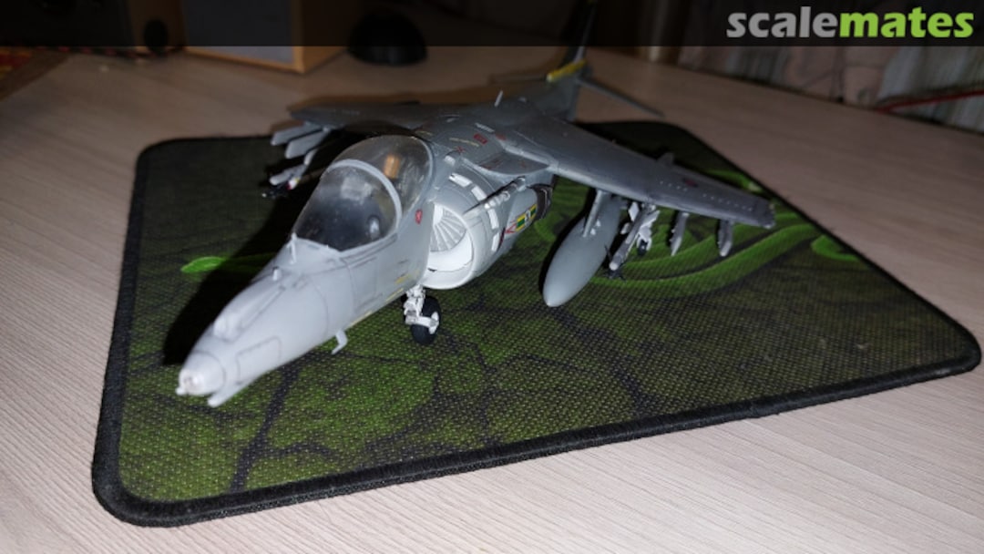 View album, image #1 View album, image #1