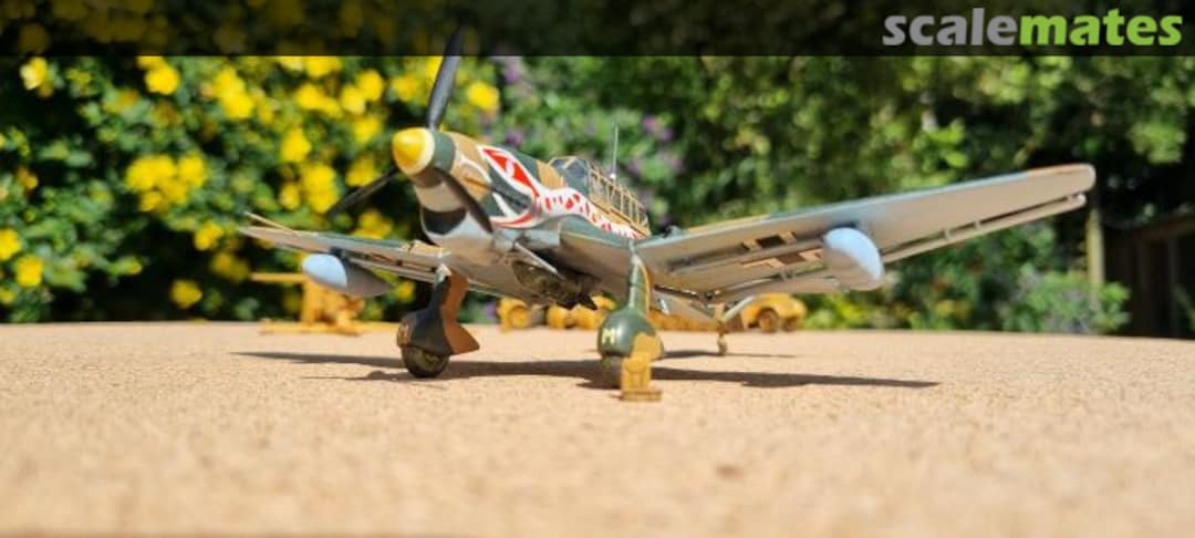 View album, image #1 View album, image #1