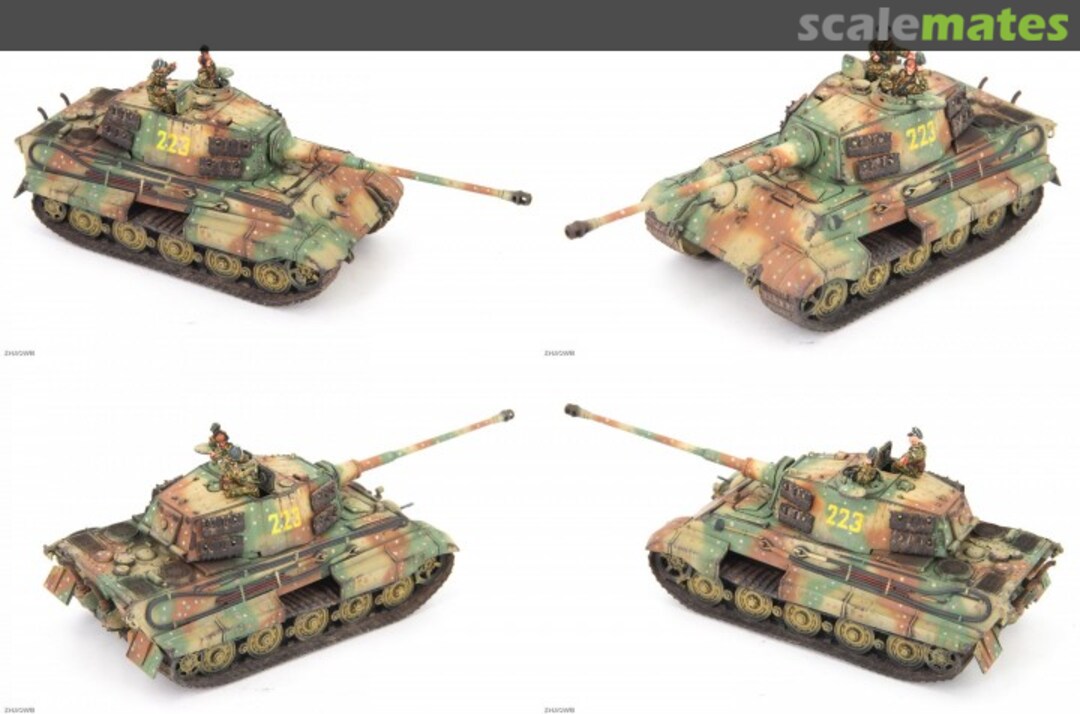 View album, image #13