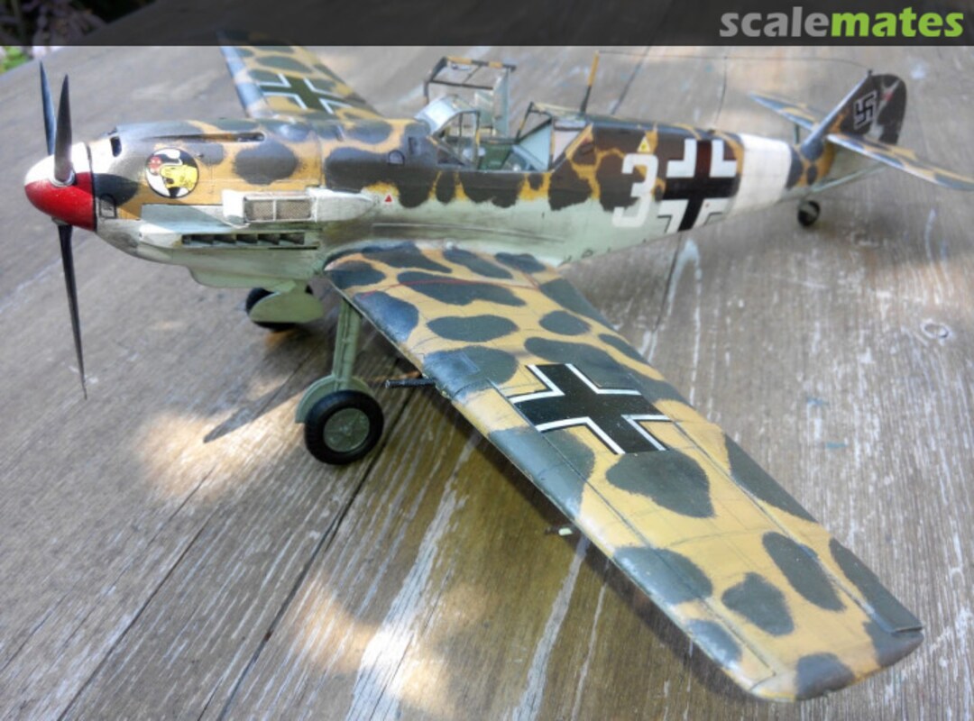 View album, image #1 View album, image #1