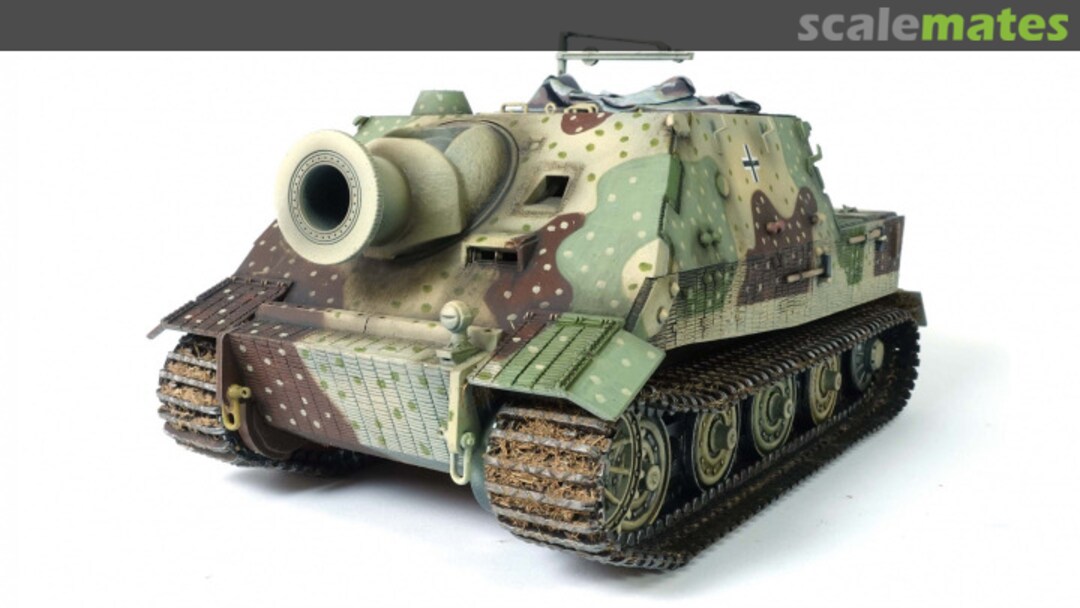 View album, image #10 View album, image #10