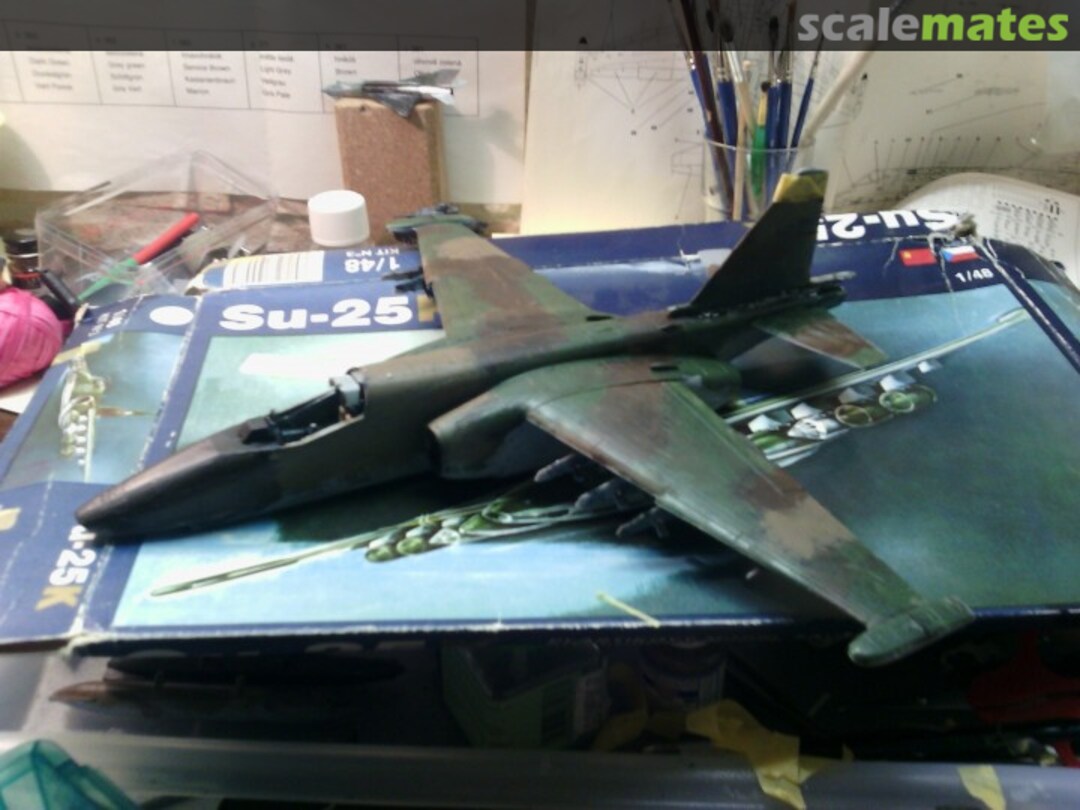 View album, image #1 View album, image #1