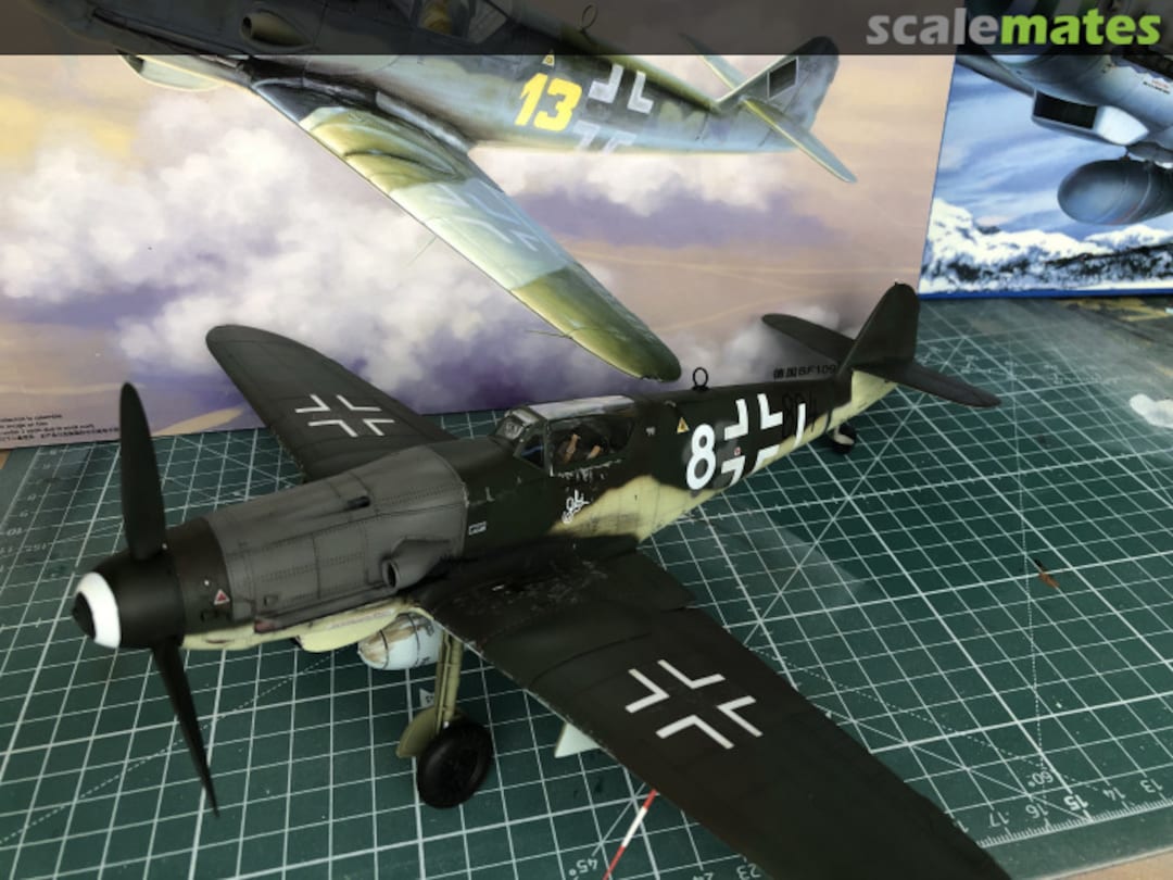 View album, image #1 View album, image #1