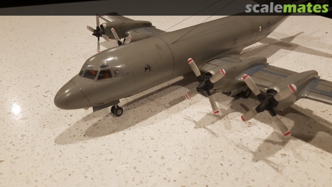 View album, image #1 View album, image #1