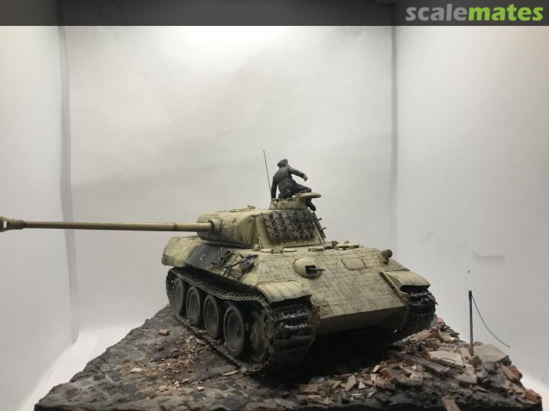 View album, image #1 View album, image #1