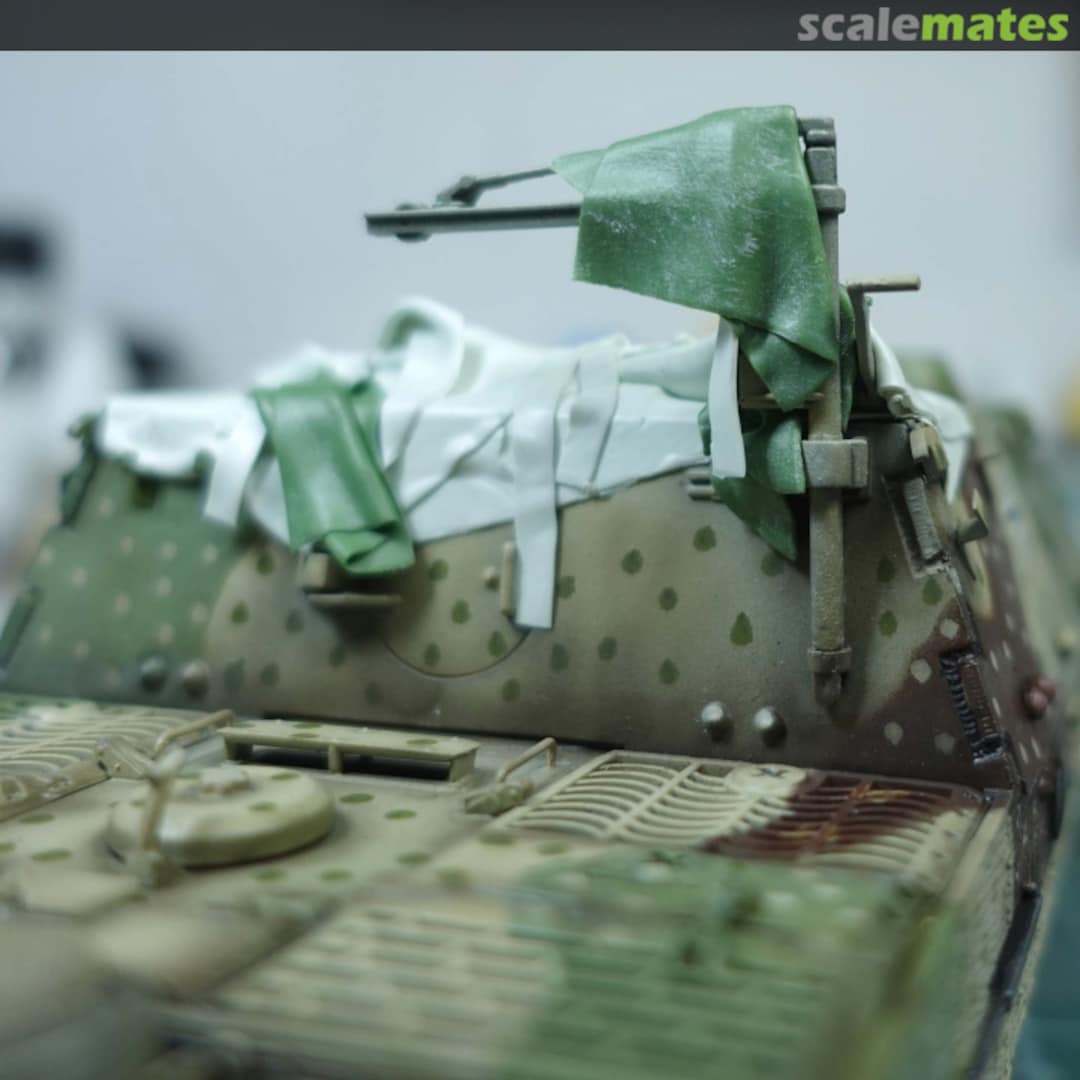 View album, image #1 View album, image #1