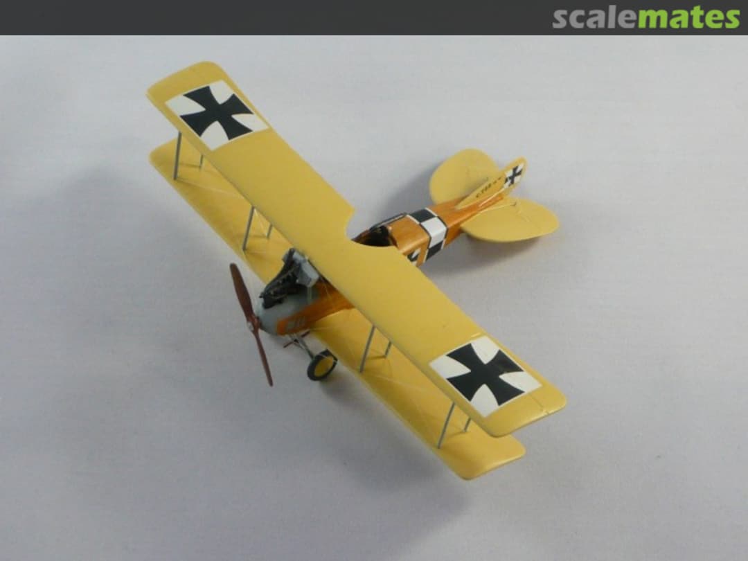 View album, image #1