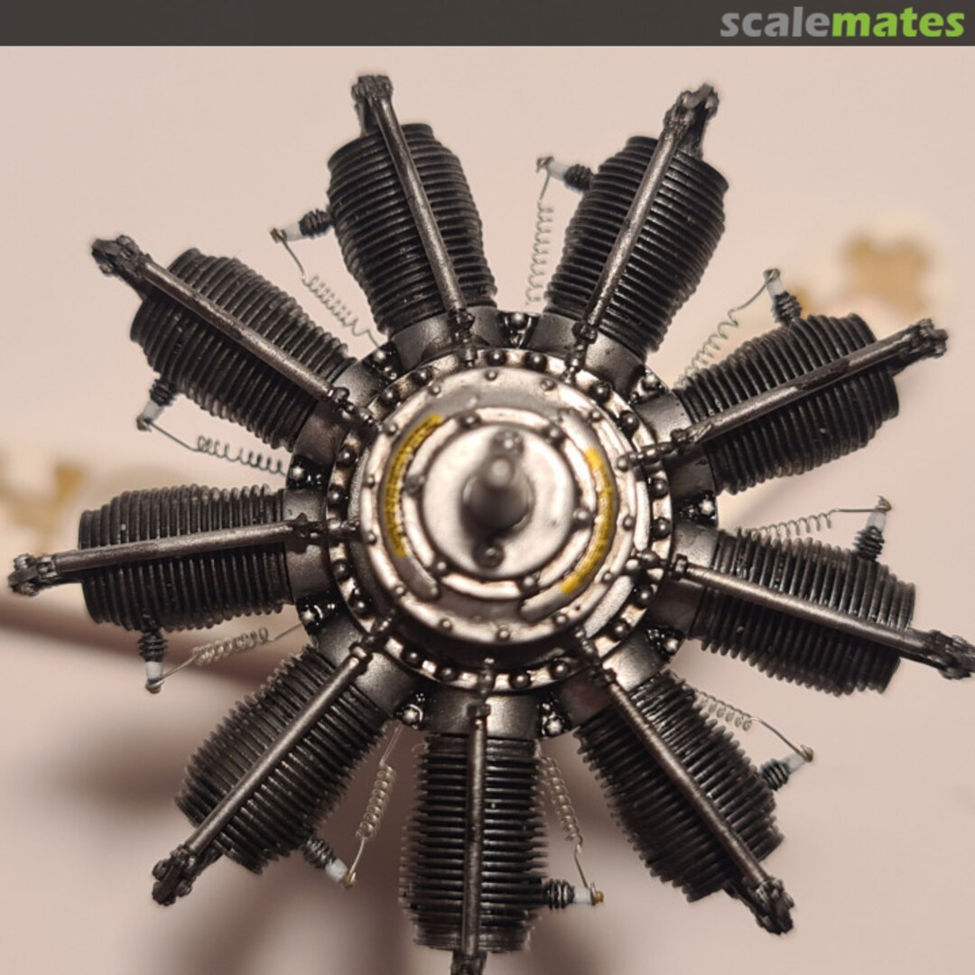 View album, image #13 View album, image #13