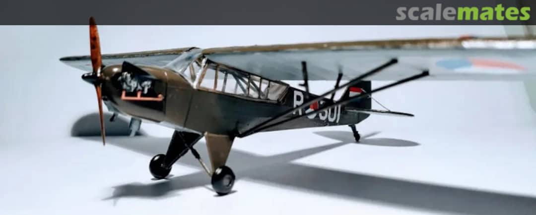 View album, image #3 View album, image #3