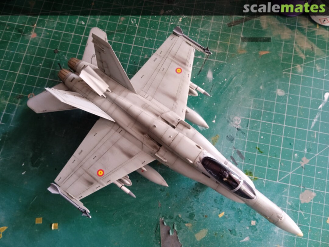 View album, image #16 View album, image #16