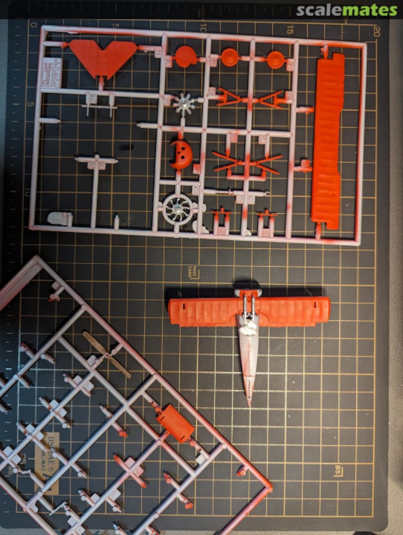 View album, image #1