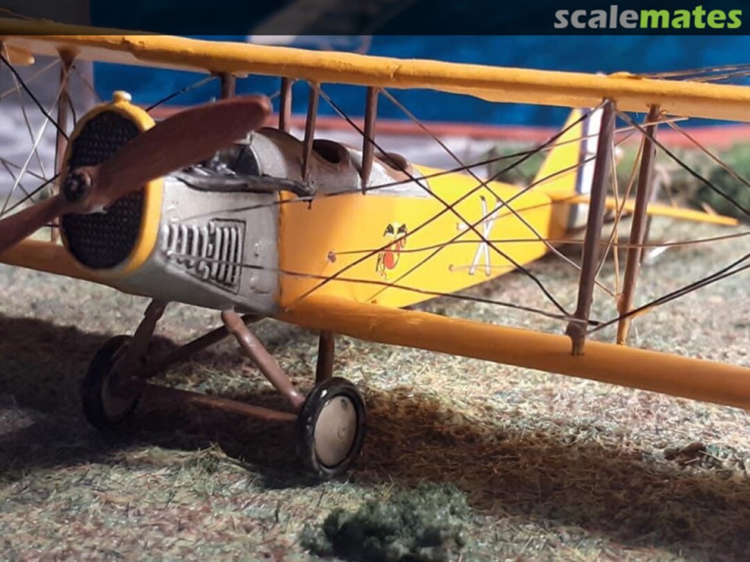 View album, image #1