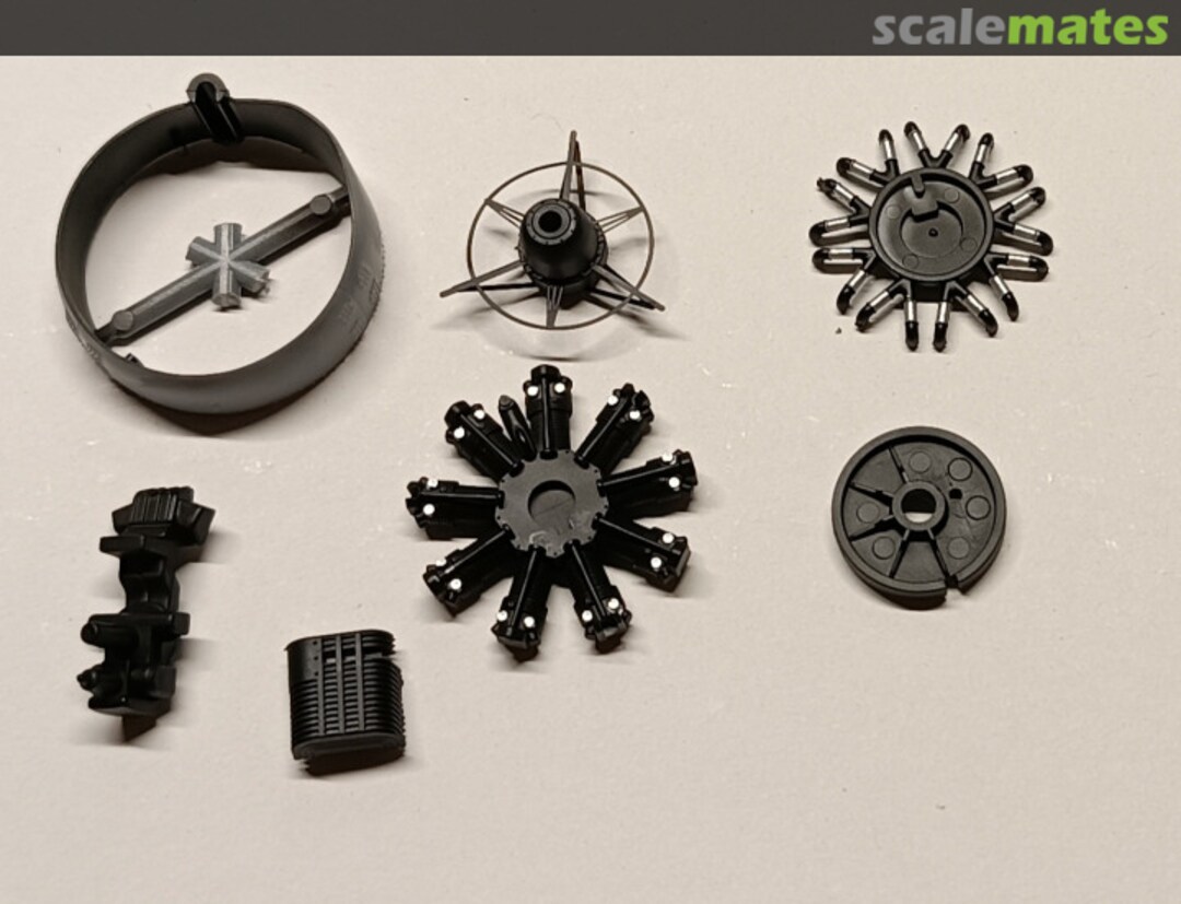 View album, image #1 View album, image #1