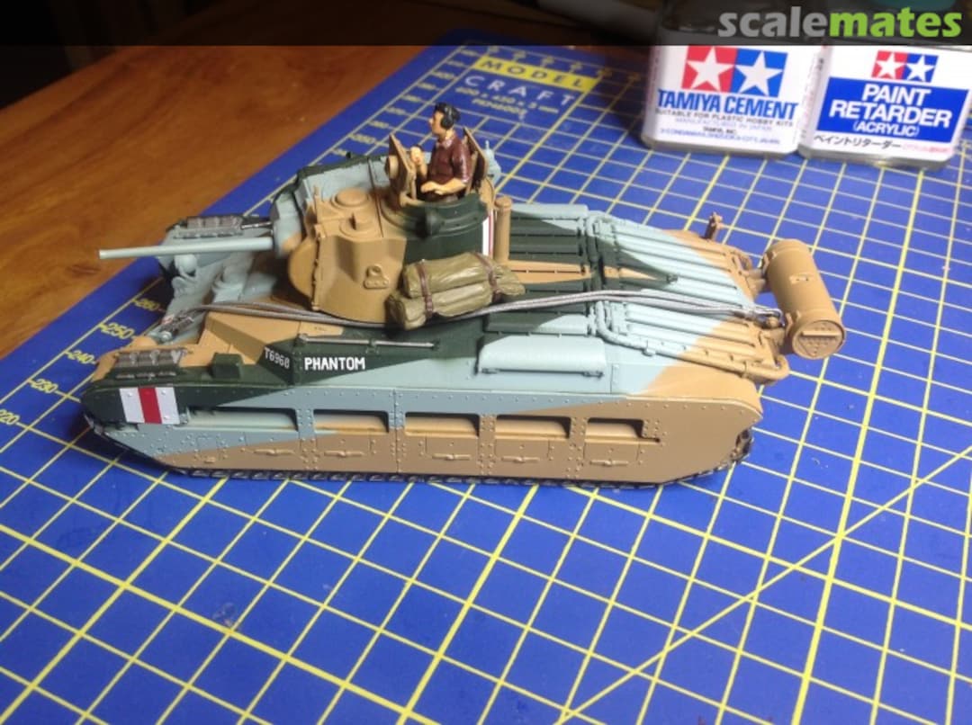 View album, image #12 View album, image #12