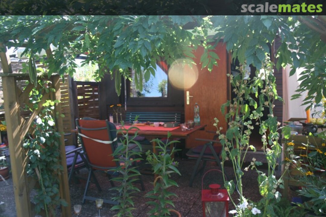 View album, image #1 View album, image #1