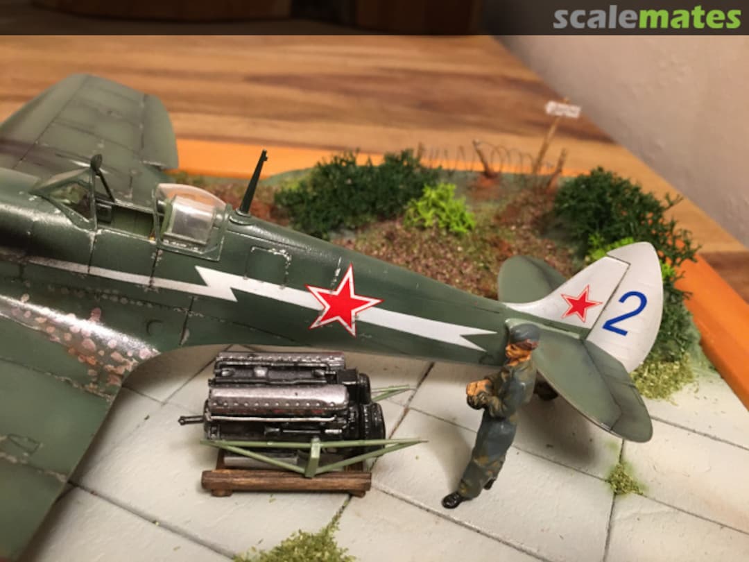 View album, image #1 View album, image #1