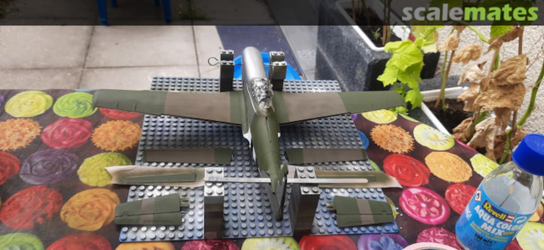 View album, image #1 View album, image #1