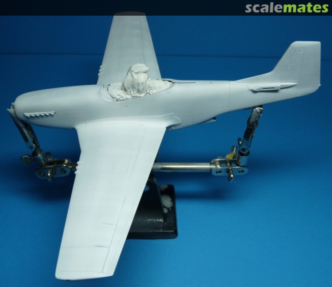 View album, image #1