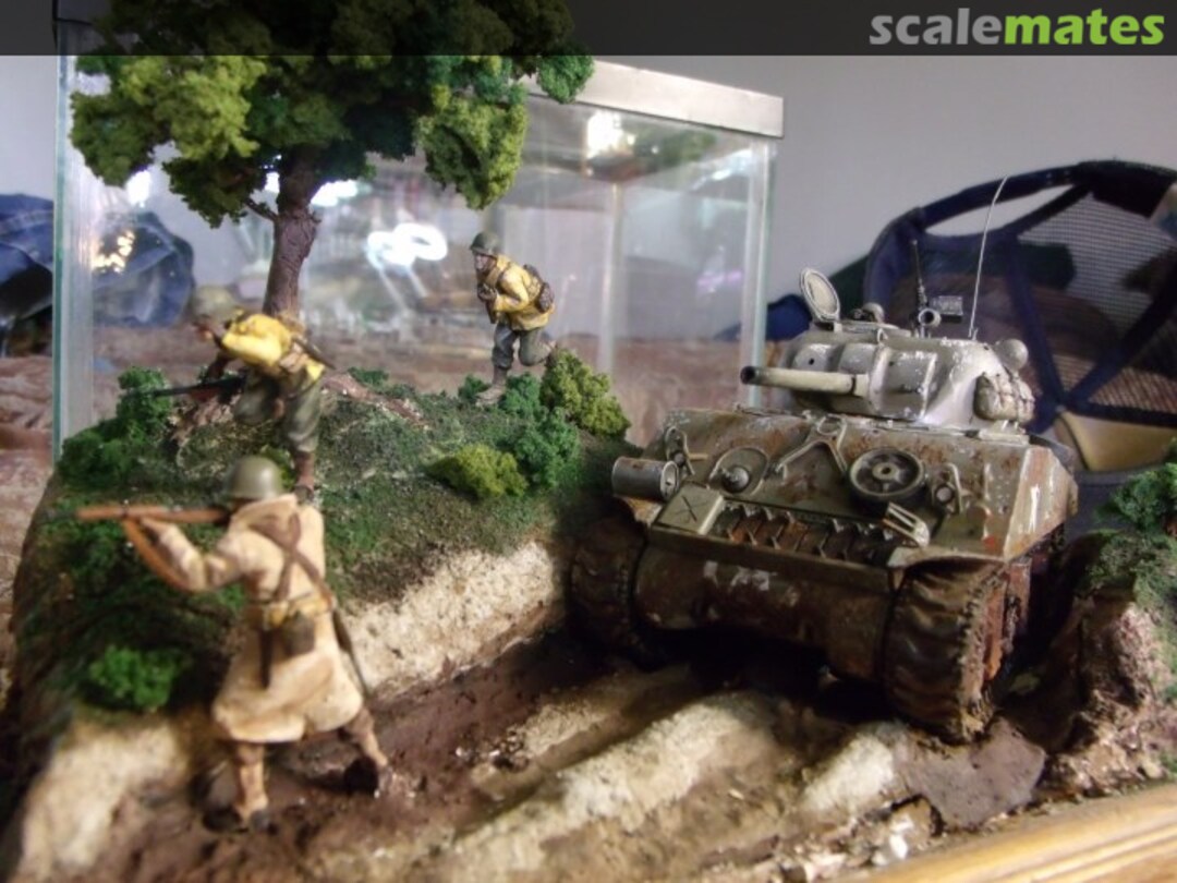 View album, image #1