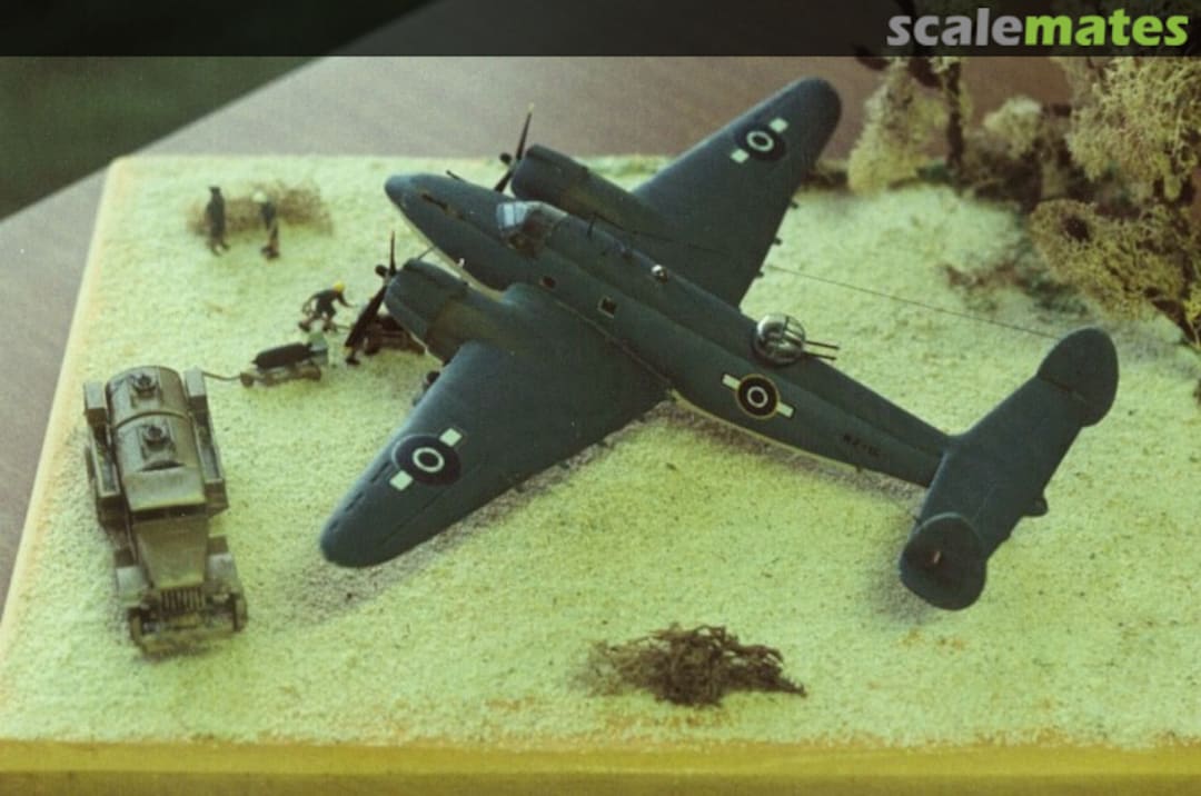 View album, image #1 View album, image #1