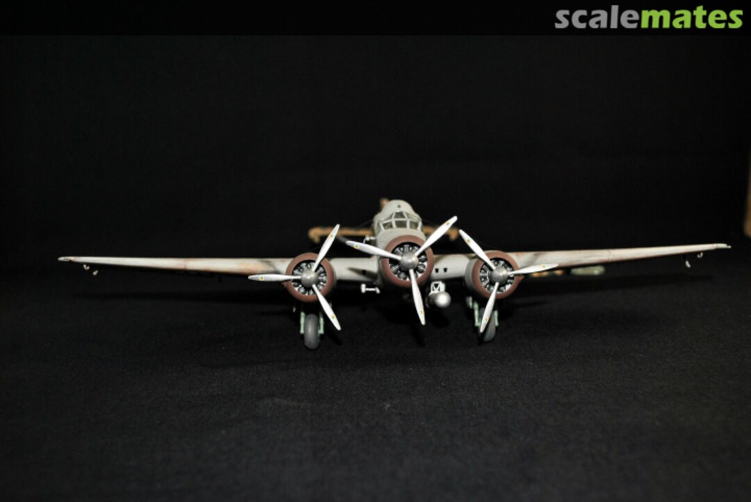 View album, image #1 View album, image #1