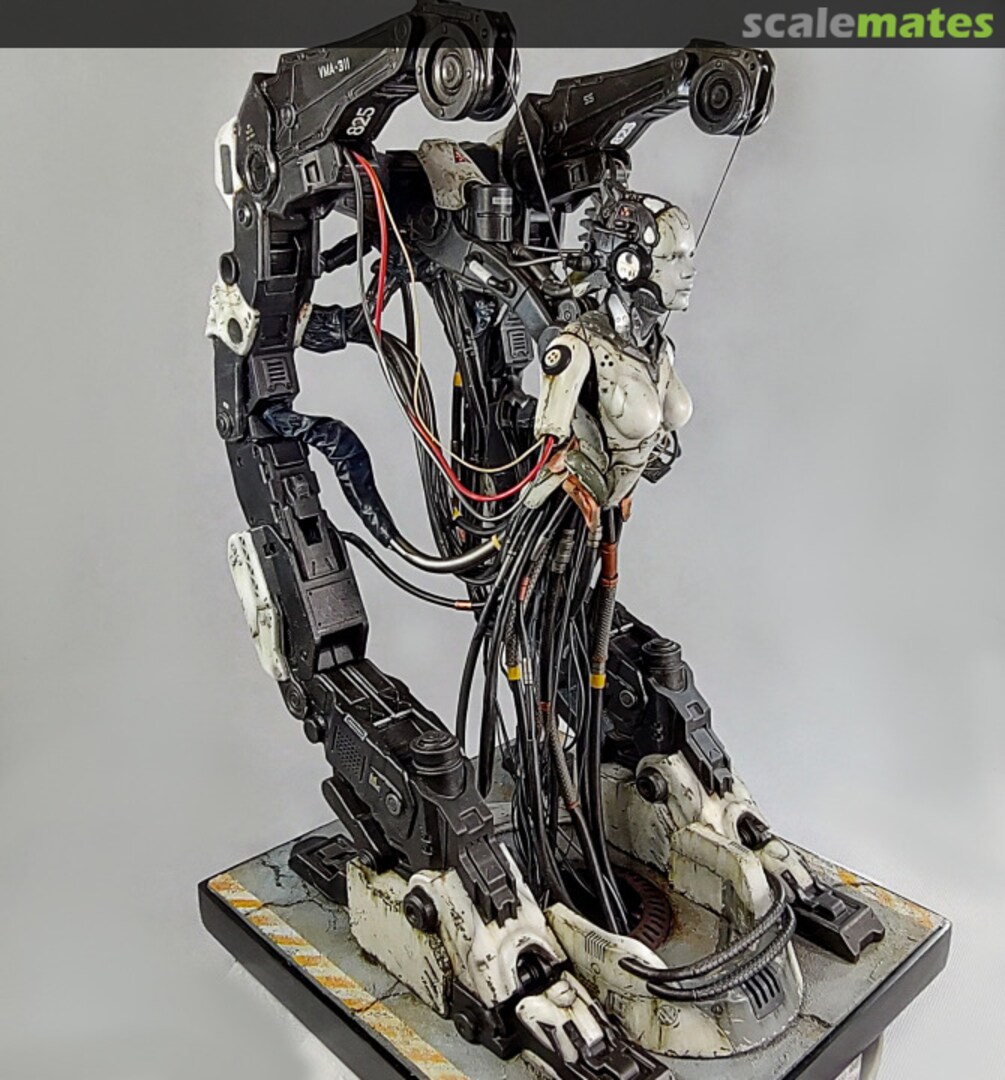 View album, image #1 View album, image #1