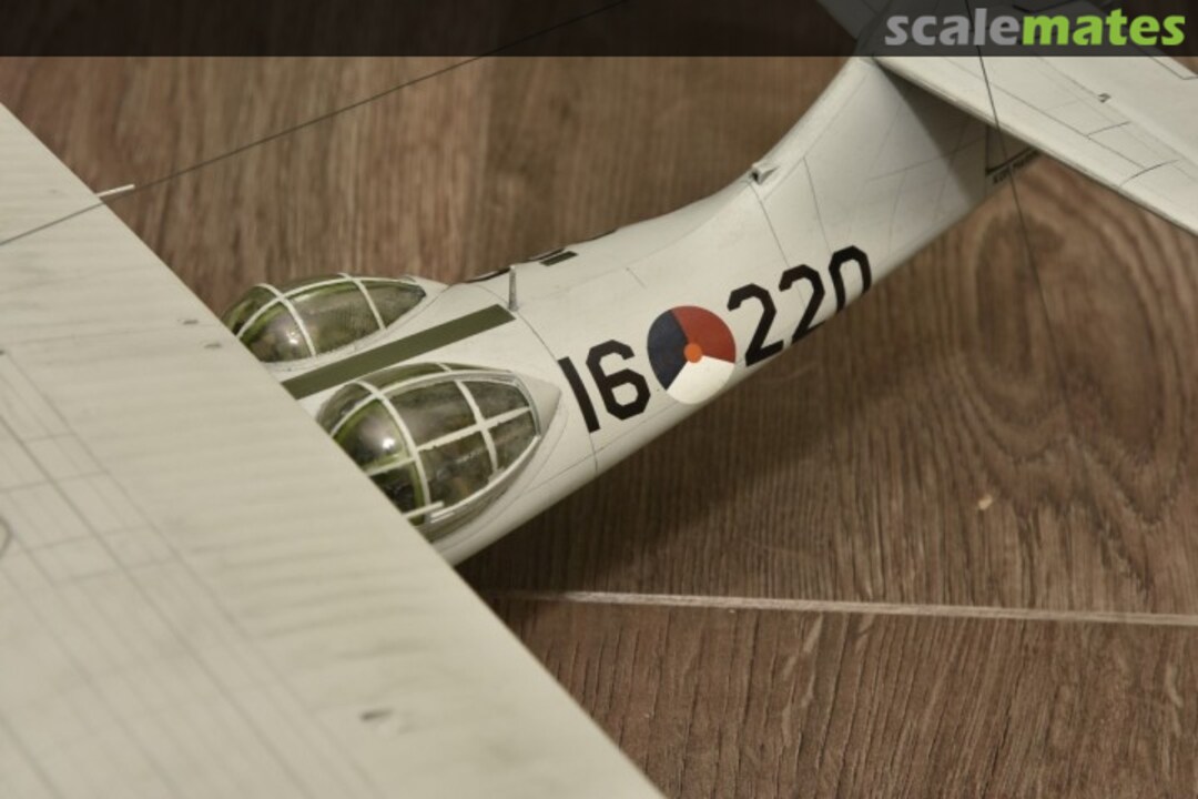 View album, image #1