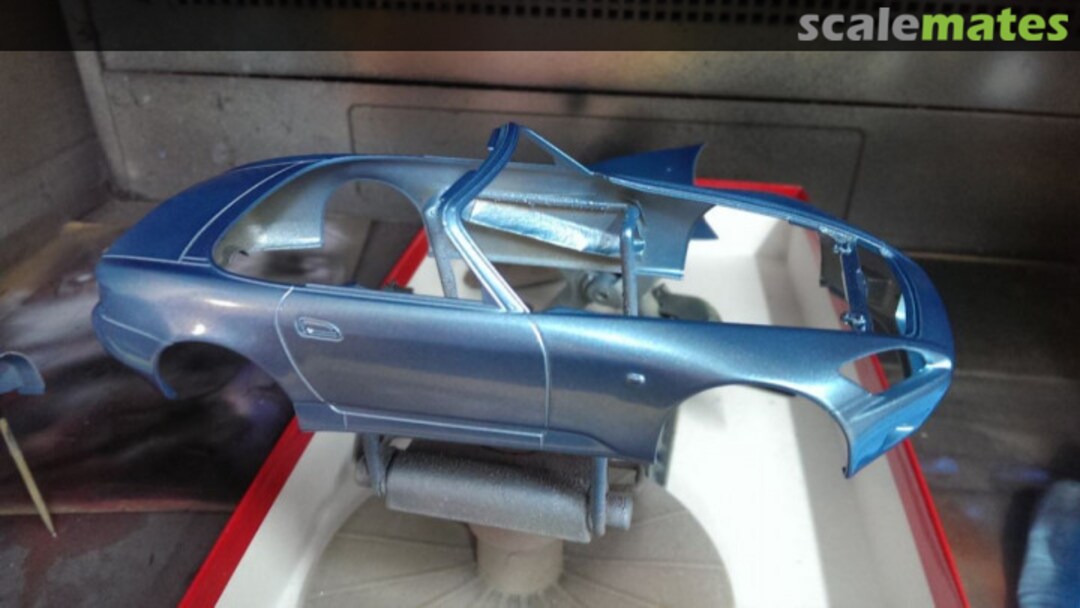 View album, image #5 View album, image #5