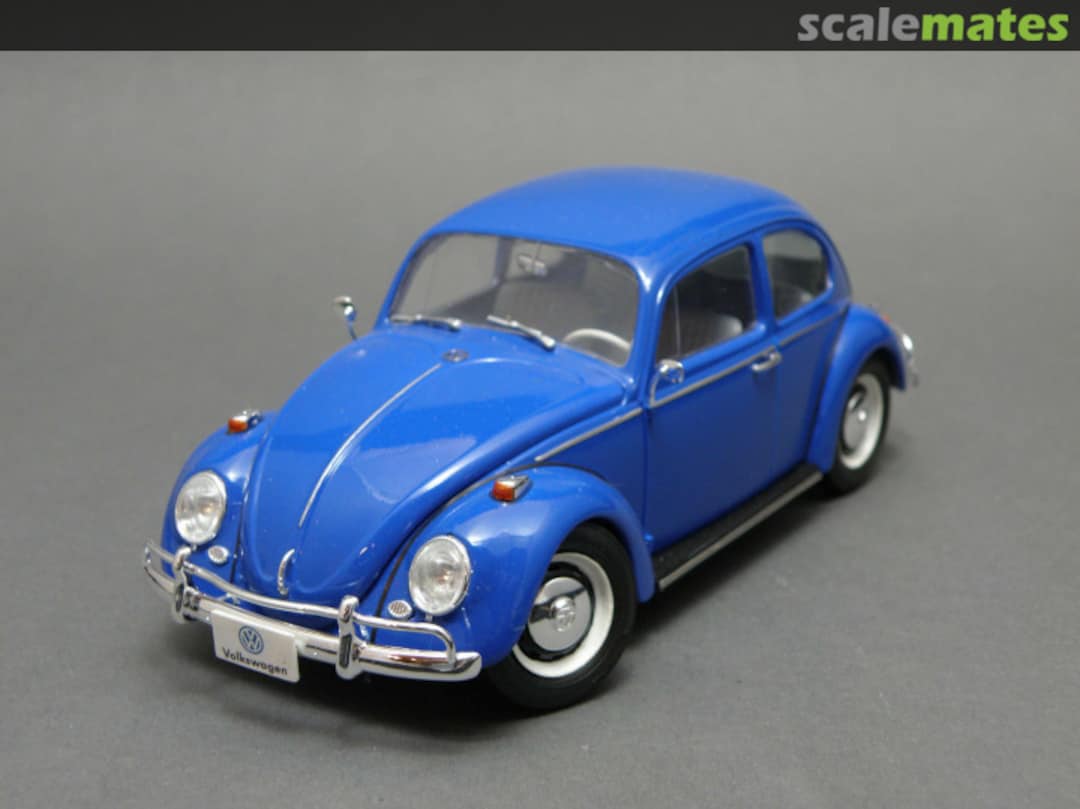 View album, image #7 View album, image #7