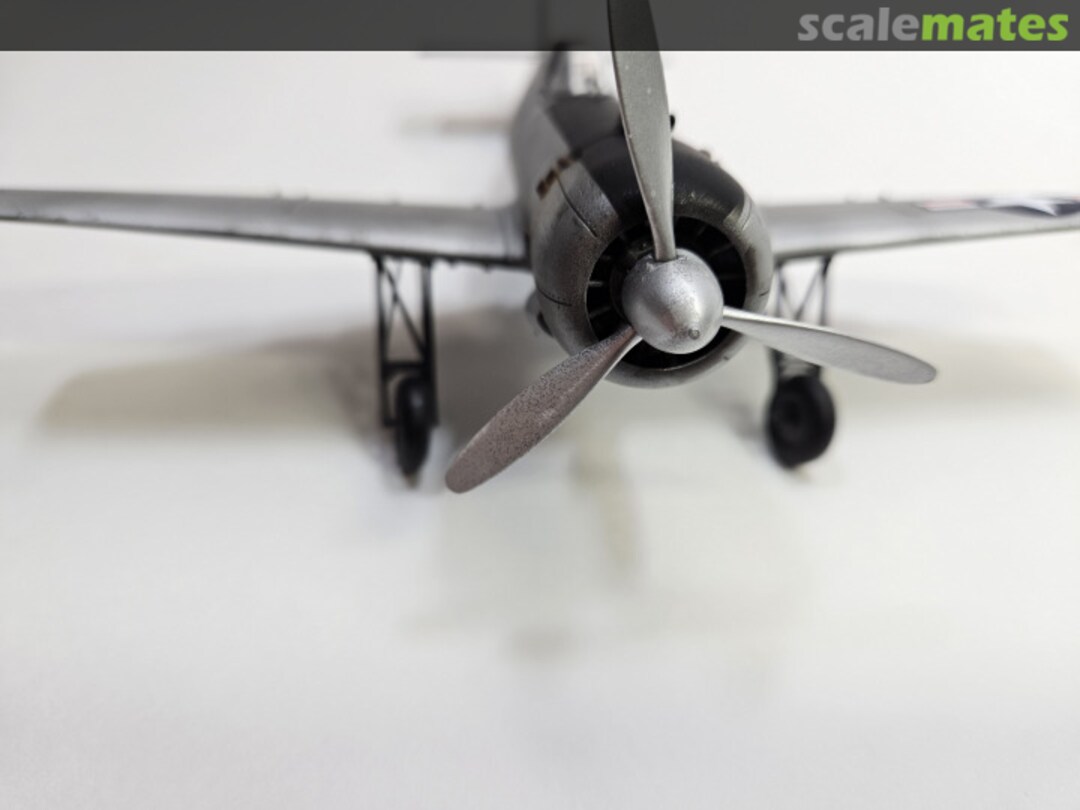 View album, image #1